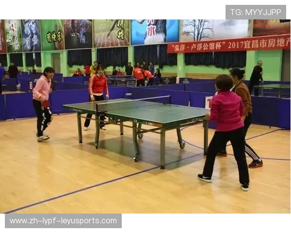 羽毛球商业开发